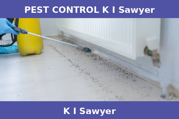 PEST CONTROL K I Sawyer